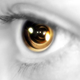 Illustration for article titled The Mechanic Eye